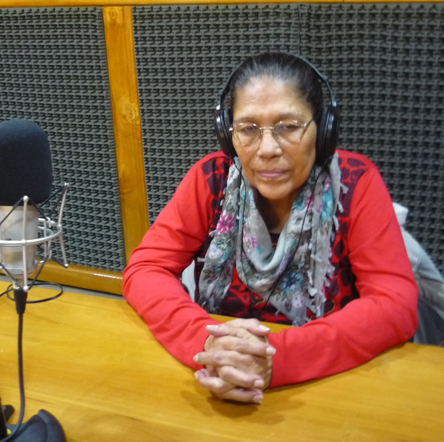 Elida Deheza, ex legisladora,  fue torturada y violada luego de su detención, estuvo presa en las cárceles de la Dictadura entre los años 1978 y 1983, acusada por un Consejo de Guerra, a causa de su militancia política en la Juventud Peronista de la ciudad de Pérez, ubicada en el Gran Rosario.
