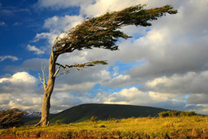 Patagonia y su elemento | radiouniversidad.com.ar