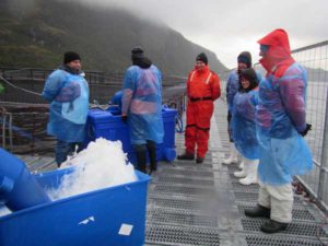 La visita tuvo como objetivo observar la tecnología aplicada a los procesos productivos utilizados en la piscicultura de recirculación Río Hollemberg y los centros de engorde marino en el sector de la península Muñoz Gamara.