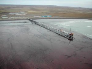 Bertone anunció la reactivación de la obra del Puerto Caleta La Misión.