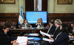 La senadora Boyadjián destacó la importancia de todos los proyectos tratados en la Comisión, valorando especialmente aquellos que afectan a las personas con discapacidad