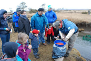 El río Mimica es un pequeño tributario del lago Chepelmut, ubicado en el Área Protegida Provincial Corazón de la Isla, distante 70 km. de la ciudad de Tolhuin.