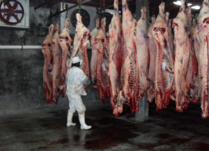 Malestar entre productores y carnicerías de la provincia por el cierre de los matarifes de la provincia.
