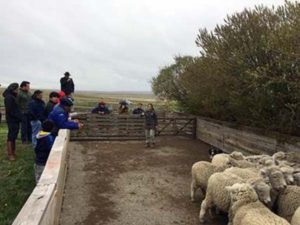 RENATRE Tierra del Fuego participó en jornadas de capacitación a trabajadores rurales en la Estancia Behety.