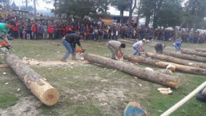 Se desarrolló en Tolhuin la Fiesta Provincial de la Lenga con la presencia de la gobernadora Rosana Bertone, el vicegobernador Juan Carlos Arcando y el intendente Claudio Queno, entre otras autoridades.