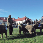 Mañana sábado comienza la XXXVII Exposición y Feria Ganadera organizada por la Asociación Rural