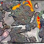 Cuantifican el impacto del castor a escala del paisaje fueguino