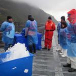 Autoridades de Ciencia y Tecnología visitaron instalaciones de la empresa «Salmones Magallanes»