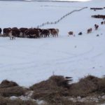 El campo prevé otro invierno complicado