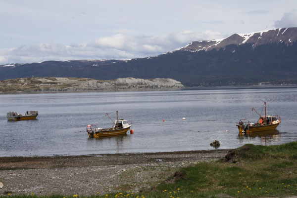 Se realizó el Lanzamiento del Proyecto Estratégico “Innovación en Acuicultura” donde quedó formalmente anunciada la convocatoria nacional para la conformación de Consorcios Público-Privados para desarrollar esta actividad en Tierra del Fuego.