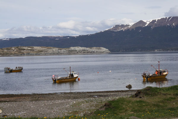 La Granja Multitrófica será instalada en la zona de Puerto Almanza y se implementará en distintos espejos de agua entre Punta Paraná y Punta Remolino. La licitación se encontrará abierta hasta el 3 de mayo de 2017 para que puedan presentarse consorcios públicos o privados.