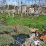 La situación ambiental en Tolhuin es delicada