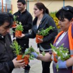 Hoy se realiza la tradicional entrega gratuita de plantines