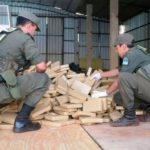 Gendarmería incautó 47 kilos de marihuana y allanó casa del subjefe de policía