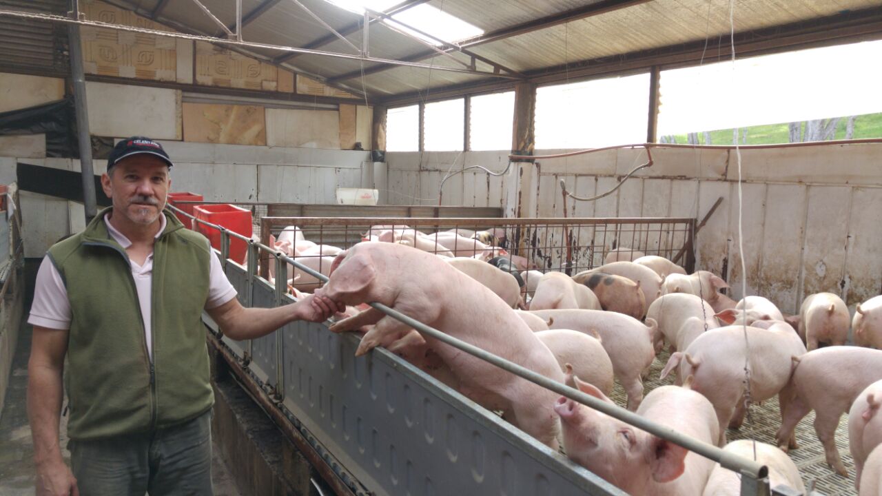 Los productores Pedro López y Claudio Disavia se refirieron a la producción de carne de cerdo de primera calidad en el Establecimiento ‘La Antena’, a 20 kilómetros del paraje homónimo.