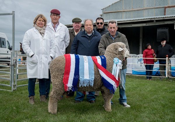 El Gran Campeón (Raza Corriedale) junto a Sandra Jamieson de O'byrne y Enrique Jamieson, quienes oficiaron de jurados; Jorge Jamieson (los tres de Río Gallegos), Cavada de la República vecina de Chile, Fernando Menéndez Behety, Director de Estancia María Behety S.A. y el cabañero Norberto ‘Beto’ Silva, quién el 2 de febrero próximo pasado, cumplió 50 años como cabañero de María Behety.