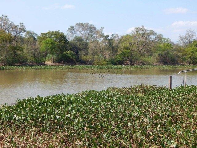 La escuela se encuentra a 9 kms. de Fortín Lavalle. Foto: gentileza Municipalidad de Bermejito.