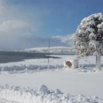 La postal blanca ya se instaló en el sur argentino