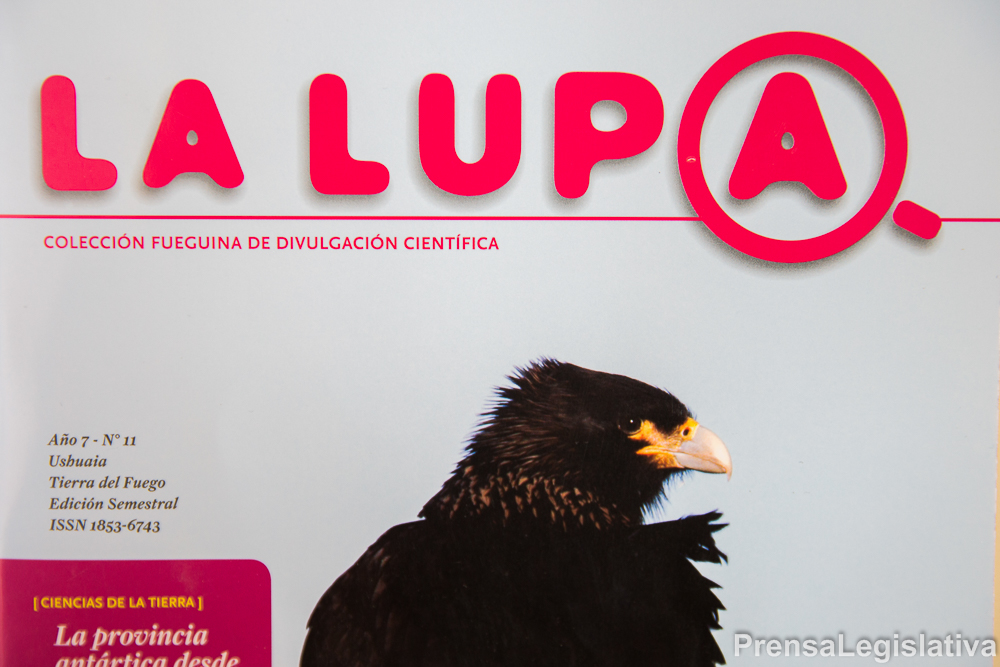 Entre las distintas secciones de la publicación, se destacan: Ciencia en foco; Curiosidades científicas; Bestiario científico; Misceláneas; ¿Quién es? y una ficha coleccionable. Ciencia fugaz, es una publicación semanal que se edita también en la red Facebook en “Colección La Lupa”.