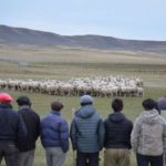 Tierra del Fuego participó de curso sobre conducción de perros de trabajo