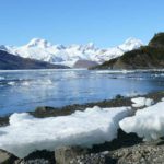 Chile creará Área Marina Protegida en la Tierra del Fuego