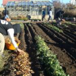 Importante articulación del INTA con instituciones educativas de Tierra del Fuego