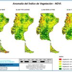 Se publicó el informe trimestral de monitoreo de la condición de la vegetación en Santa Cruz y Tierra del Fuego