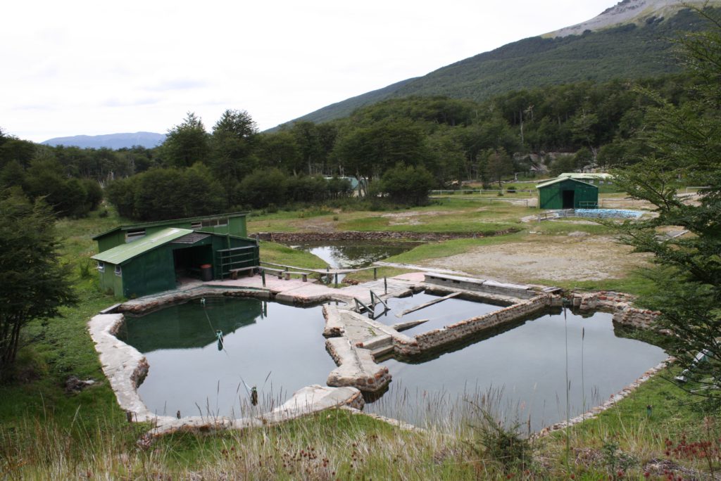 También se le preguntó sobre las termas del Río Valdez. “Es un tema que está en conversaciones, pero aún está en una instancia judicial. En algún momento se pondrá en marcha. Siempre dije que detrás de un proyecto como las termas nos podemos encolumnar todos porque las joyas de Tolhuin siempre han sido las termas y más allá de la belleza del Lago Fagnano, que es el lago más grande de Sudamérica, las termas son las joyas de Tolhuin y todos se encolumnarán detrás de un proyecto termal”, resaltó Roberto Berbel.