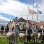 Llevaron adelante la exposición rural con gran cantidad de público