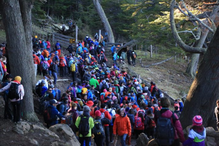 Más de 350 personas abrazaron simbólicamente un árbol para proteger el bosque nativo.