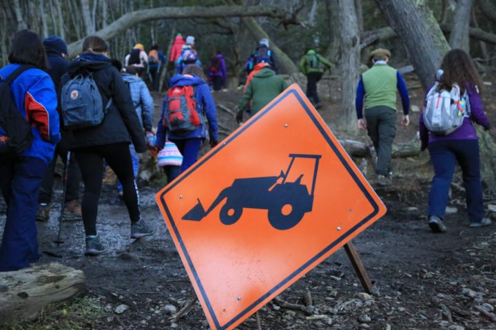 Más de 350 personas abrazaron simbólicamente un árbol para proteger el bosque nativo.