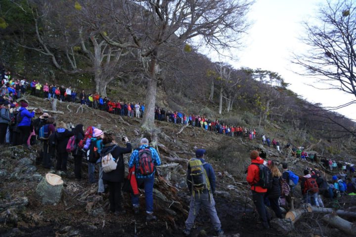 Más de 350 personas abrazaron simbólicamente un árbol para proteger el bosque nativo.