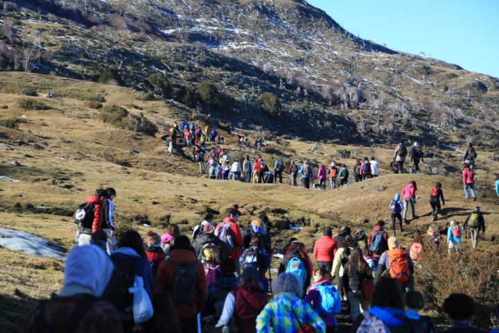 Más de 350 personas abrazaron simbólicamente un árbol para proteger el bosque nativo.