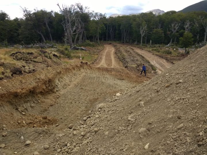 Acusan a la empresa de haber ingresado con motosierras esta semana, y avanzar con la tala indiscriminada de árboles para la apertura de corredor costero Canal Beagle.