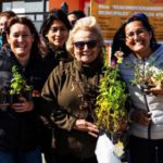 20 mil plantines se entregaron a vecinos de Río Grande en solo dos días