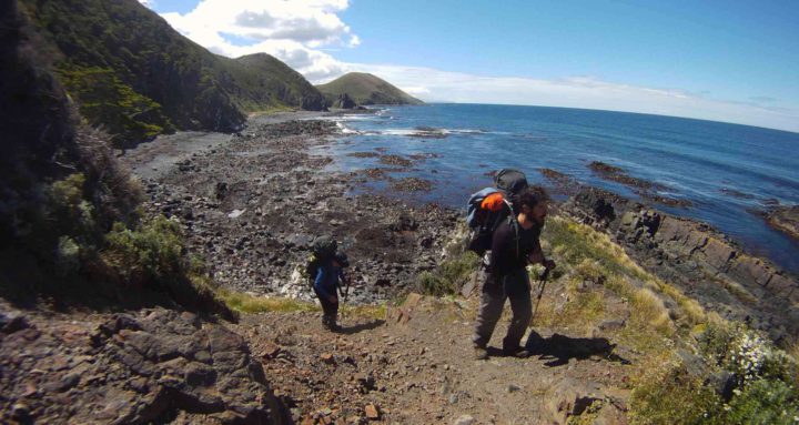 Tras la asunción del nuevo gobierno, desde la Fundación Rewilding Argentina revitalizan la necesidad de generar una legislación para proteger Península Mitre, proyecto de ley que desde el 2002 resultó infructuosa.