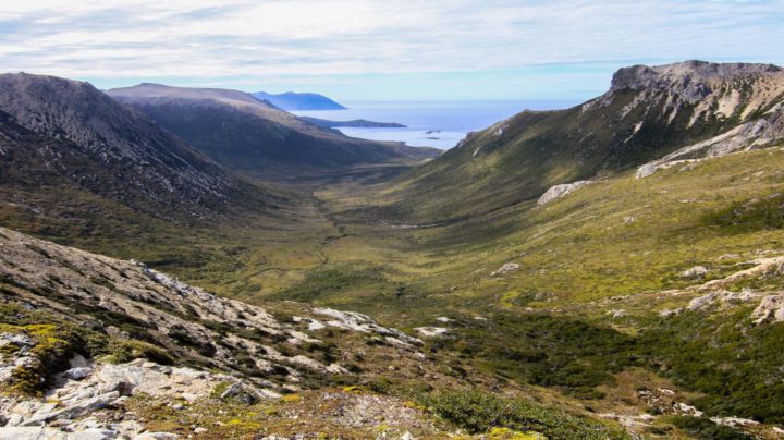 Martina Sasso y Nahuel Stauch, de la Fundación Rewilding Argentina, fueron entrevistados en el programa ‘Buscando el Equilibrio’ que se emite por Radio Universidad (93.5 MHZ), donde se explayaron sobre el Parque Provincial Península Mitre y sobre su oposición a la salmonicultura en el canal Beagle.