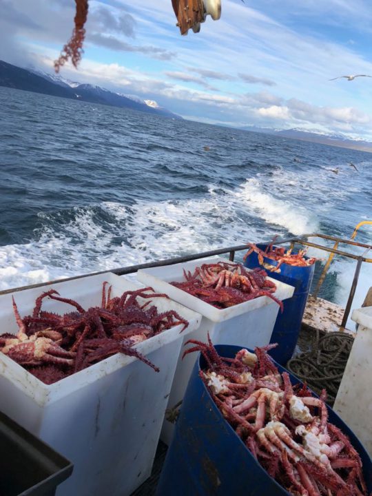 Cabe destacar que el ahumadero hace el proceso completo, desde la pesca artesanal al envasado y etiquetado de productos listos para el consumo.