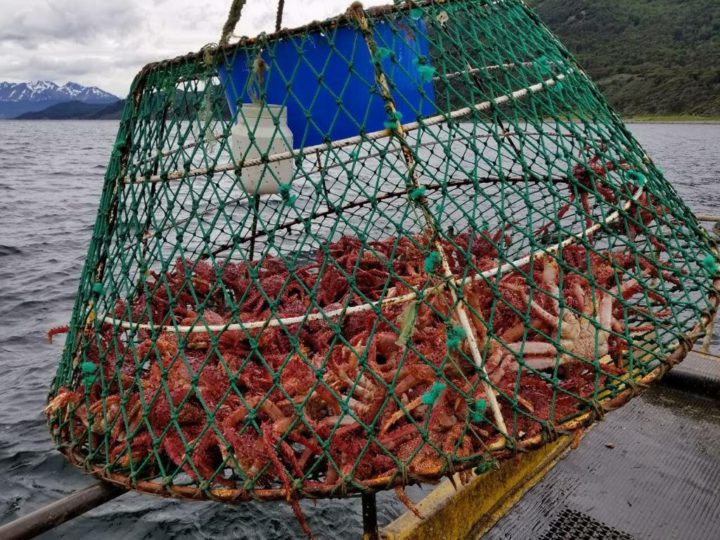 “La pesca artesanal está muy poco desarrollada, tanto en la costa atlántica como en la costa del canal, y sería capaz de mover producto fresco. Creo que el modelo pesquero desarrollado en Tierra del Fuego ha tendido a otro tipo de explotación”, dijo.