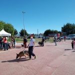 ‘Zoonosis más cerca’ llega al barrio Dos Banderas