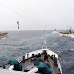 Greenpeace denunció que el frente del Mar Argentino está “sitiado” por una flota de barcos extranjeros
