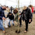 El Municipio y centros de jubilados plantan 100 árboles en homenaje a la ciudad