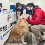 La Municipalidad de Ushuaia concretó otra exitosa jornada de ‘Zoonosis más Cerca’