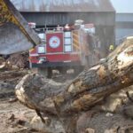 Peritos de Bomberos y el propietario del aserradero “El Litoral” aseguraron que el siniestro comenzó de manera intencional