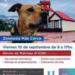 Este viernes se realizará una nueva jornada de ‘Zoonosis más Cerca’