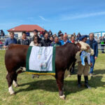 Culminó la sexta Exposición, Jura y Remate Hereford en la Asociación Rural de Tierra del Fuego