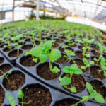 Gran expectativa por la primera ‘Expo Agroproductiva’ de la ciudad