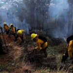 Continúa el combate del incendio en “La Fueguina” y afecta 12 hectáreas de bosque