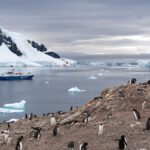 LA CIUDAD DE USHUAIA SERÁ ESCENARIO DE UNA NUEVA EDICIÓN DE LA NOCHE DE LAS IDEAS