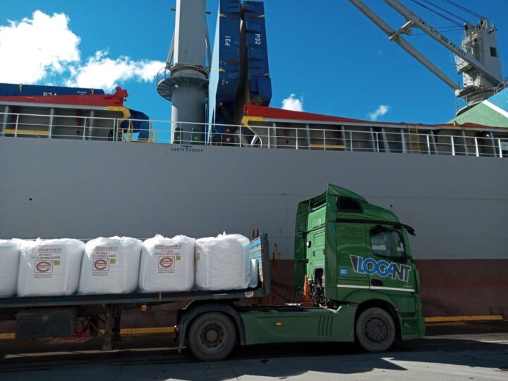 La empresa Vinisa Fueguina SRL trajo un buque de carga chino directo al puerto de Ushuaia
